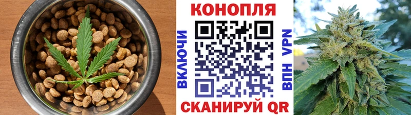 купить цена Болотное Cannafood конопля