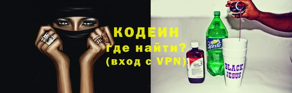 ГАЛЛЮЦИНОГЕННЫЕ ГРИБЫ Абаза