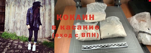 ГАЛЛЮЦИНОГЕННЫЕ ГРИБЫ Абаза
