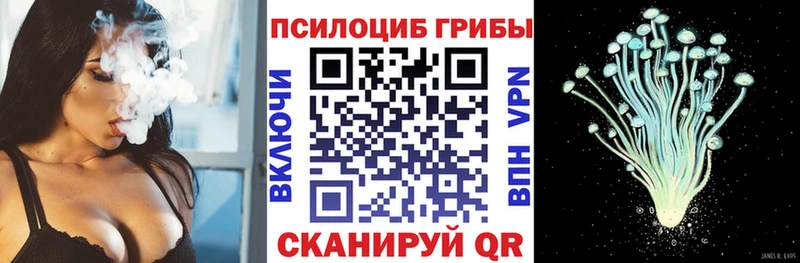 Псилоцибиновые грибы Psilocybe Болотное