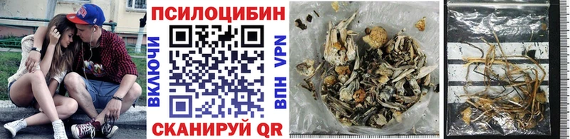OMG зеркало  Болотное  Галлюциногенные грибы MAGIC MUSHROOMS  где найти  